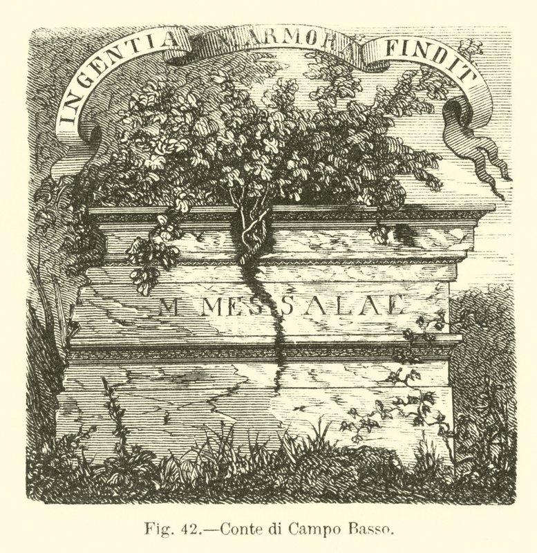 Conte di Campo Basso von English School
