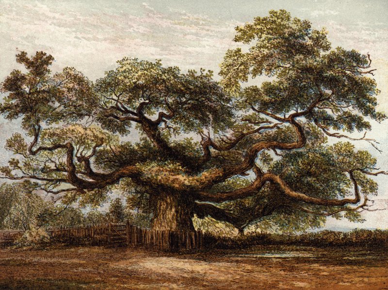 Crouch Oak, Addlestone von English School
