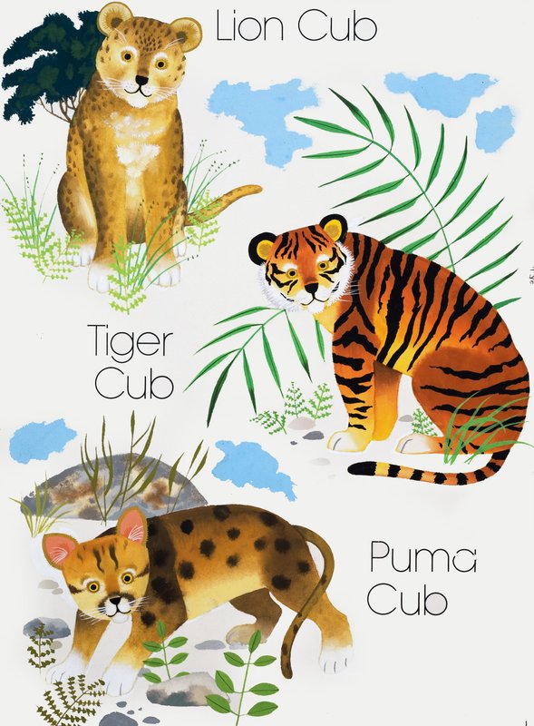 Junge Großkatzen von English School