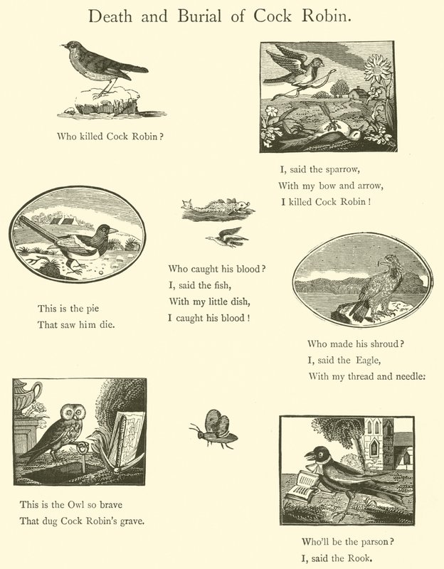 Tod und Beerdigung von Cock Robin von English School
