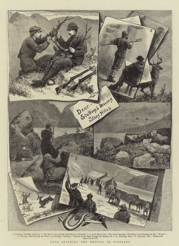 Hirschjagd und Treibjagd in Schottland von English School