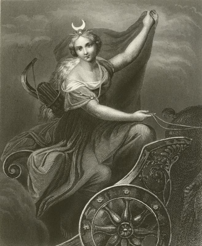 Diana von English School