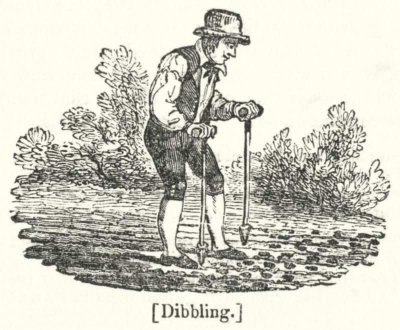 Dibbling von English School