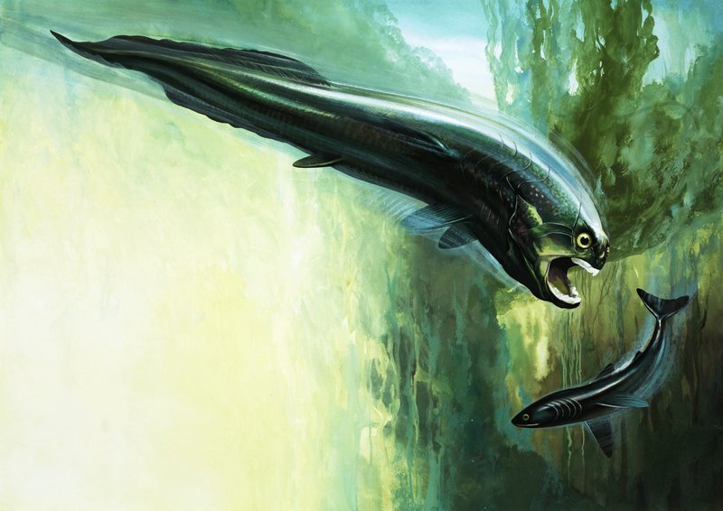 Dinichthys von English School