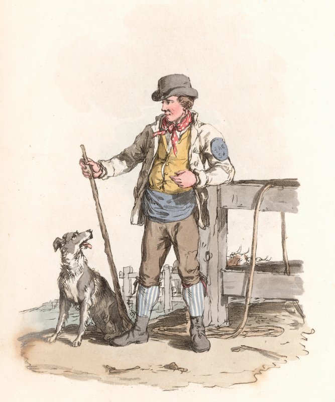 Treiber von English School