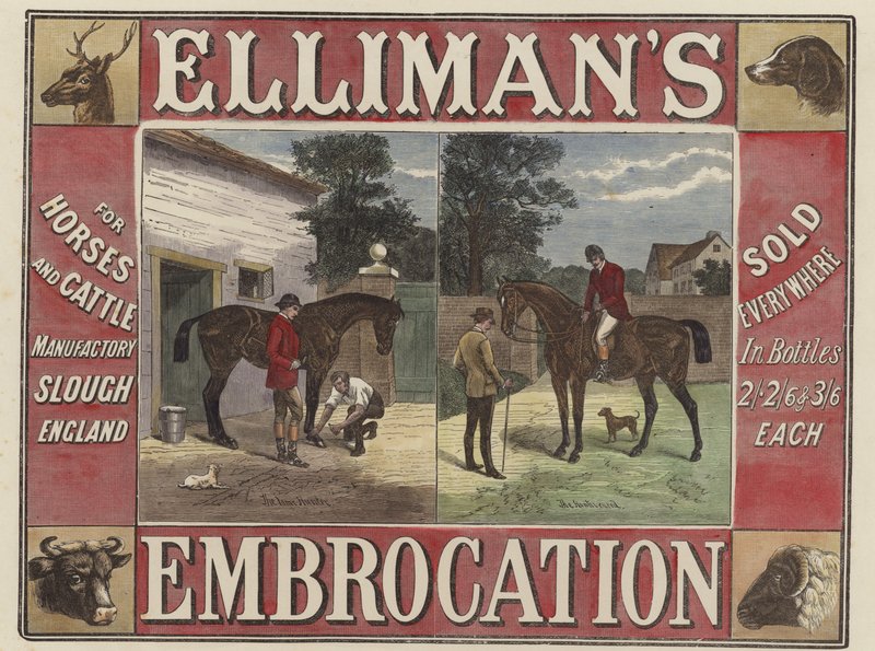Ellimans Einreibung von English School