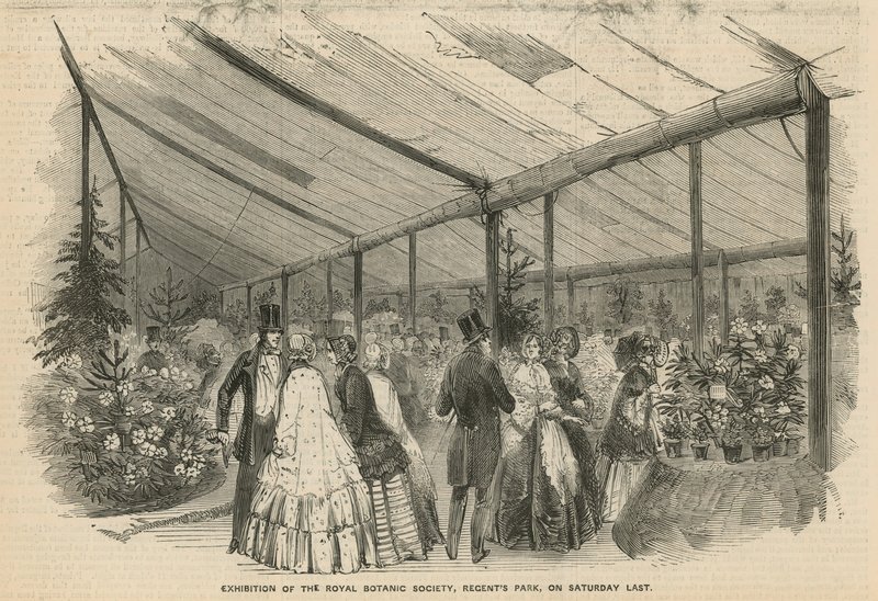 Ausstellung der Royal Botanic Society von English School