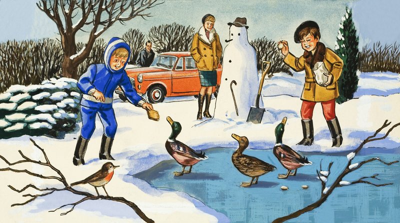 Enten füttern von English School