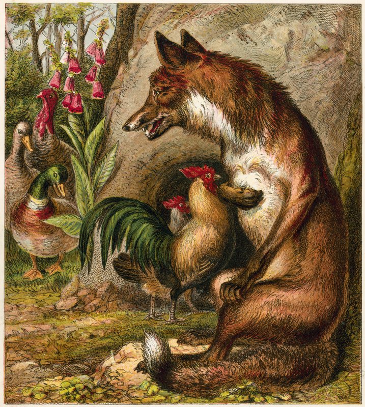 Fuchs von English School