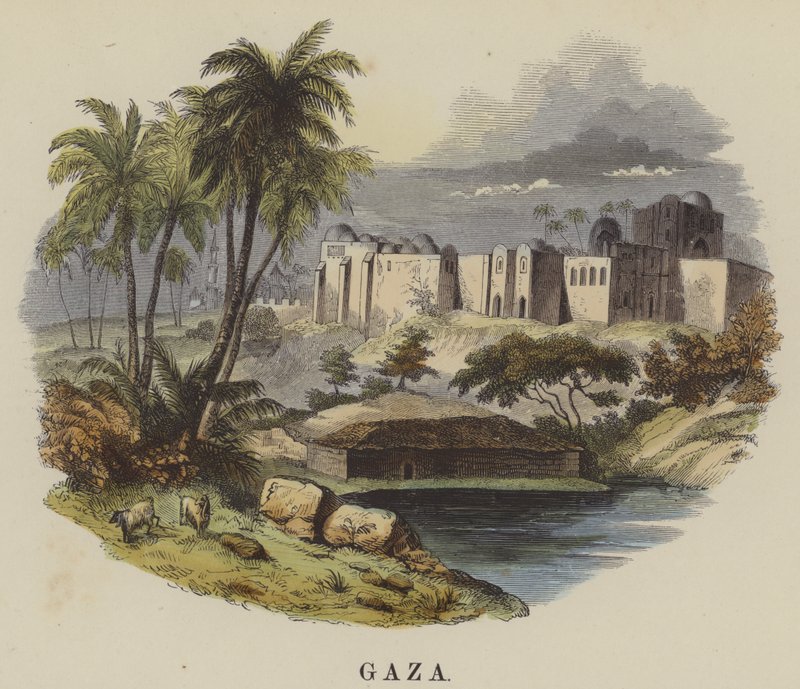 Gaza von English School