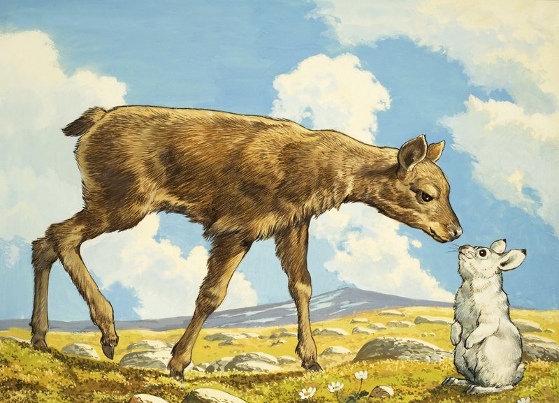 Gazelle und Kaninchen von English School