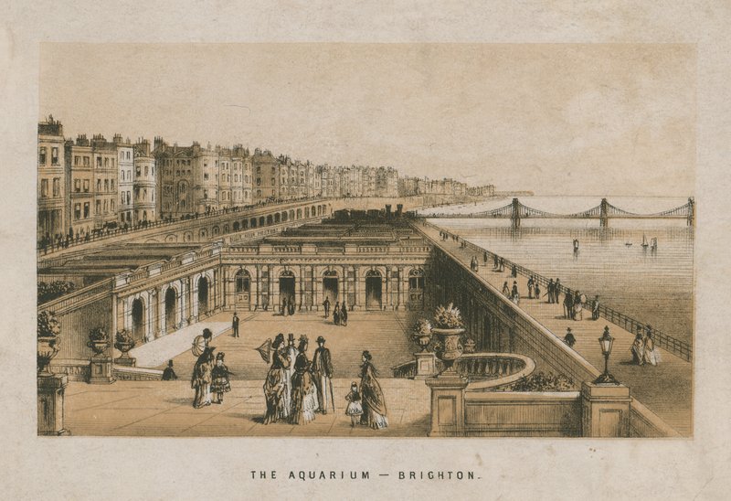 Allgemeine Ansicht des Aquariums in Brighton von English School