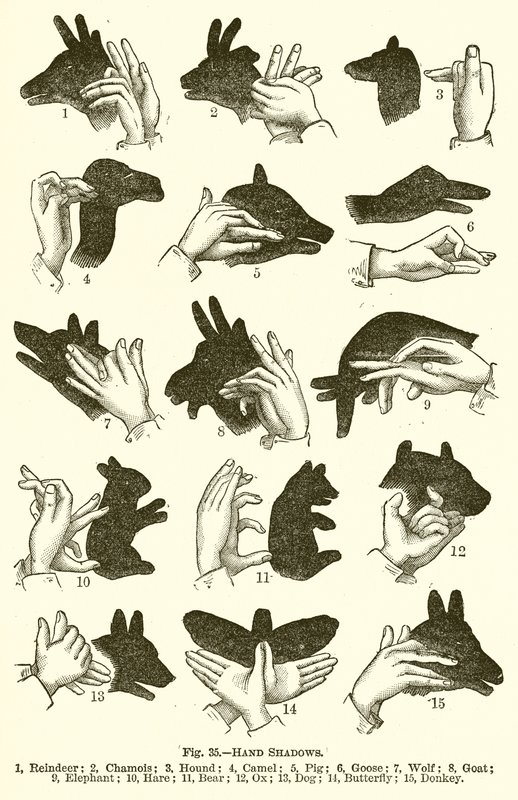Handschatten von English School