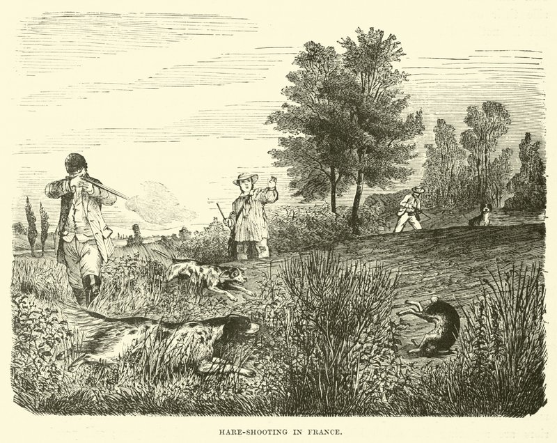 Hasenjagd in Frankreich von English School