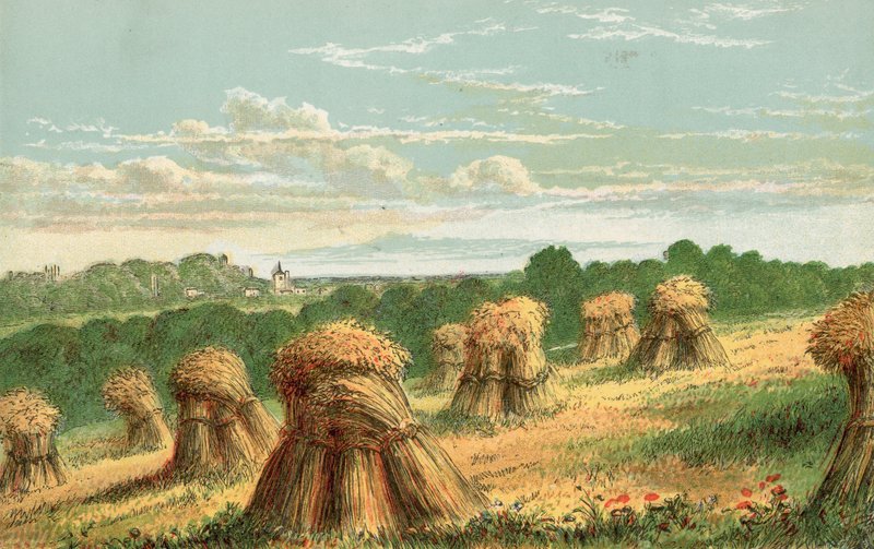 Ernte von English School