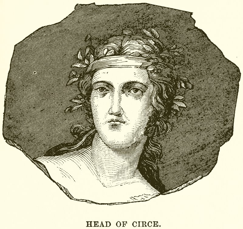 Kopf der Circe von English School