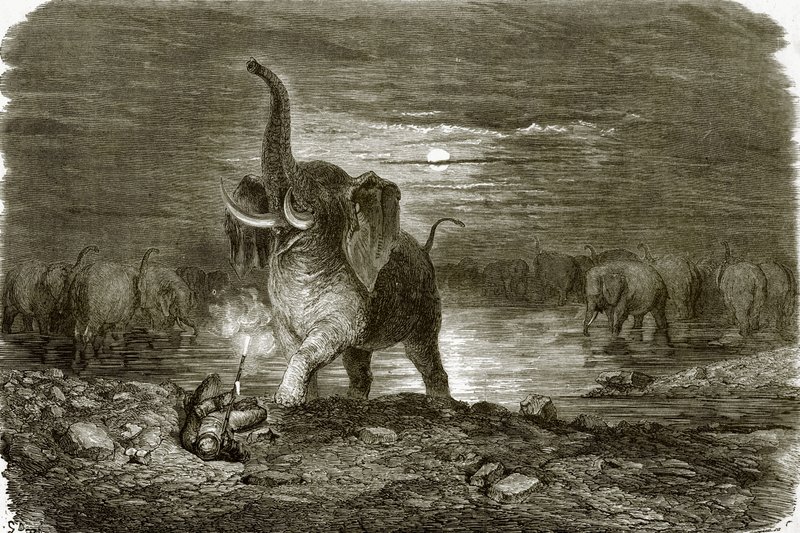 Jäger und Elefant von English School