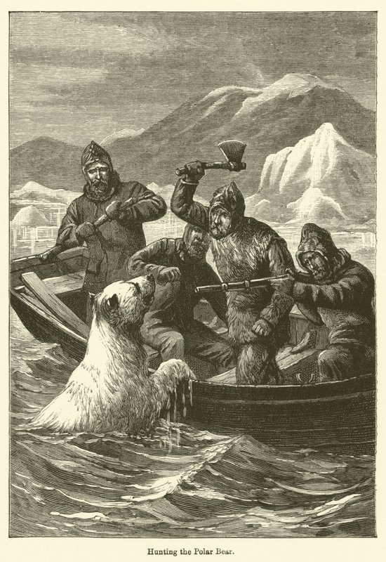 Die Jagd auf den Eisbären von English School
