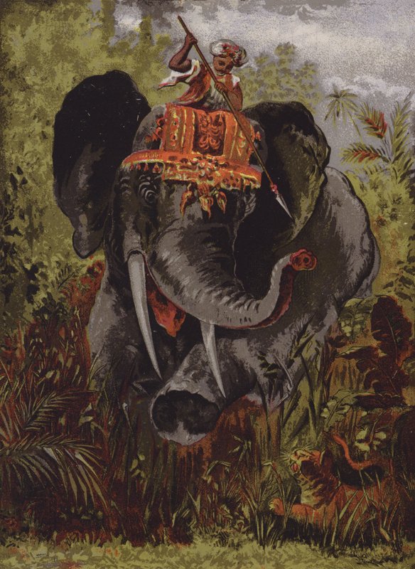 Tigerjagd auf Elefanten, Indien von English School