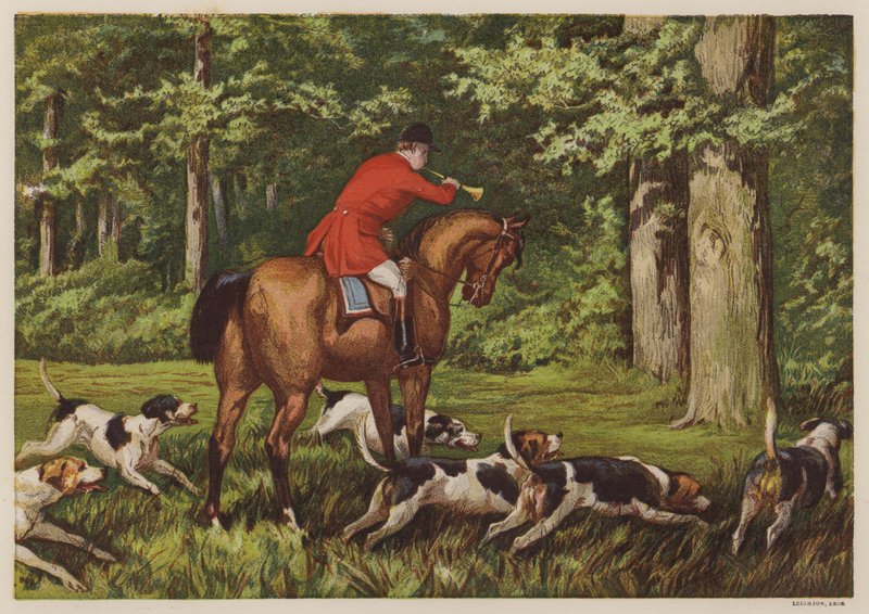 Jagd mit Hunden von English School