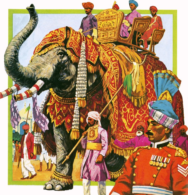 Indischer Elefant von English School
