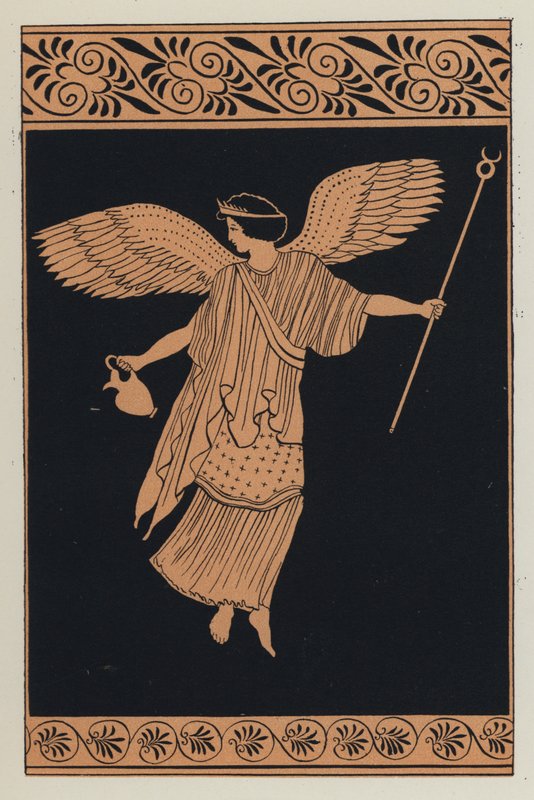 Iris (Farblithografie) von English School