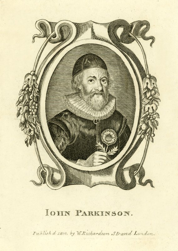 John Parkinson von English School