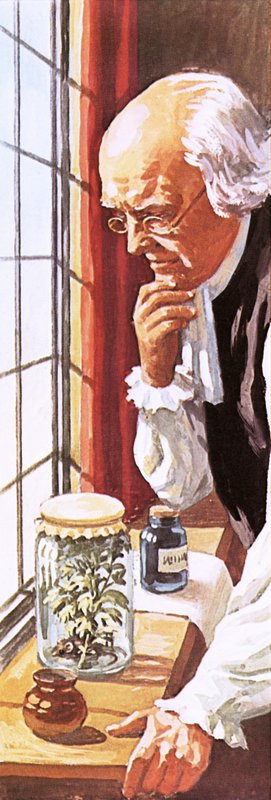 Joseph Priestley von English School