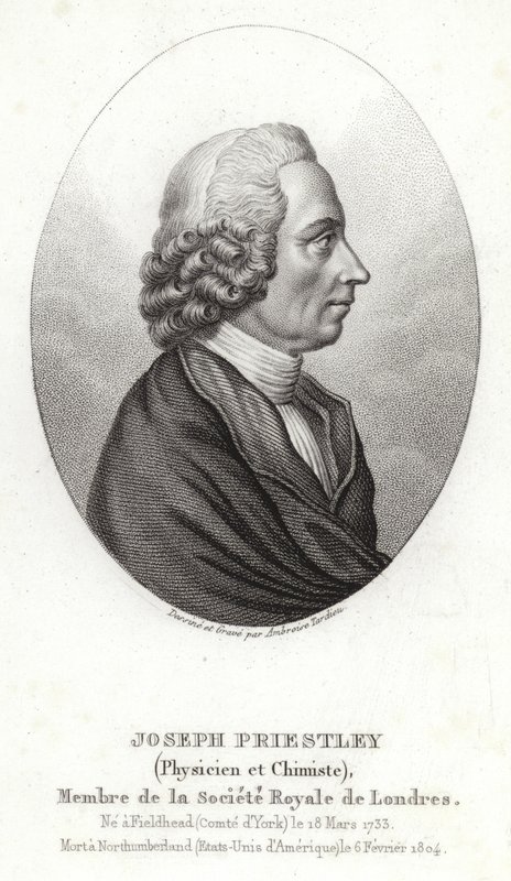 Joseph Priestley von English School