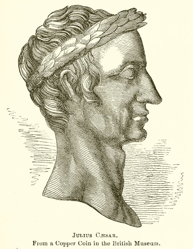 Julius Caesar von English School