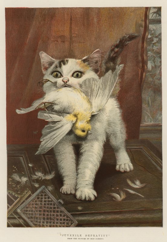 Jugendliche Verderbtheit (Chromolithografie) von English School