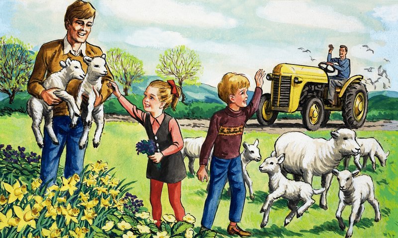 Lämmer im Frühling von English School