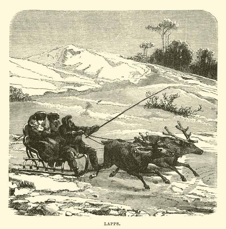 Lappen von English School