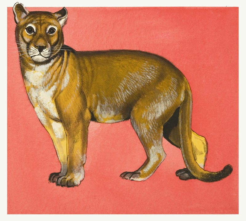 Löwin von English School