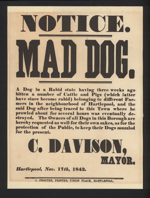 Warnung vor tollwütigem Hund, Hartlepool, 1843 von English School