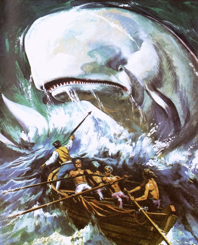 Moby Dick von English School