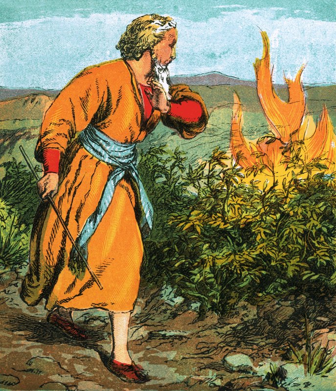 Moses von English School