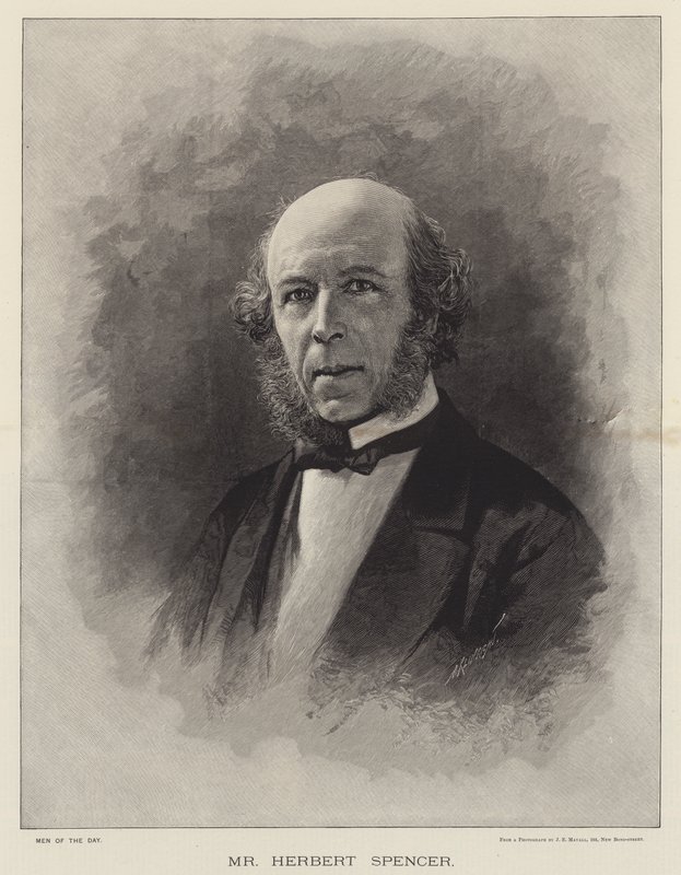 Herr Herbert Spencer (Stich) von English School