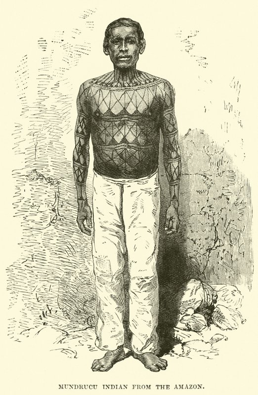 Mundrucu-Indianer vom Amazonas von English School
