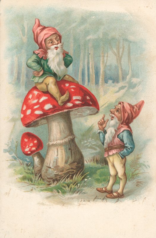 Pilz mit Gnomen von English School