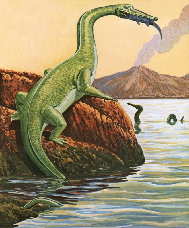 Nathosaurus beim Essen von English School