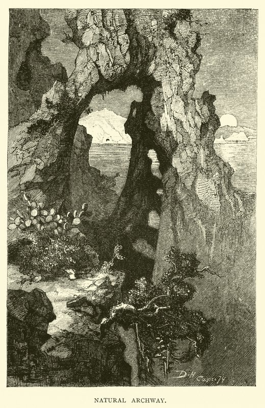 Natürlicher Torbogen von English School