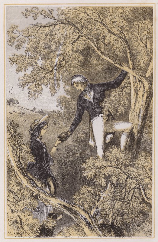 Nelson beim Vogelnisten mit seiner Frau von English School