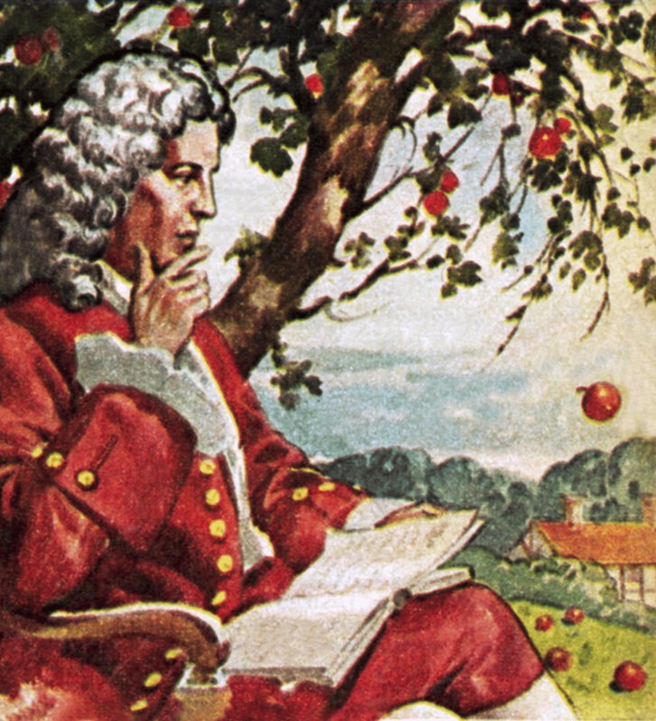 Newton beobachtet fallende Äpfel von English School