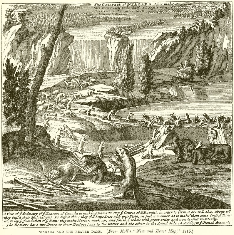 Niagara und die Biberdämme von English School