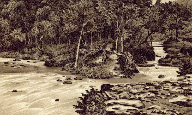 Nord-Devon: "The Watersmeet", Lynmouth von English School