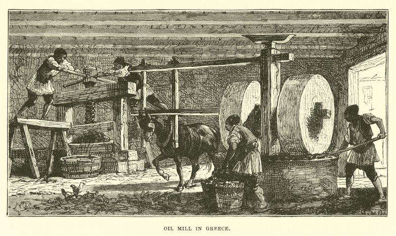 Ölmühle in Griechenland von English School
