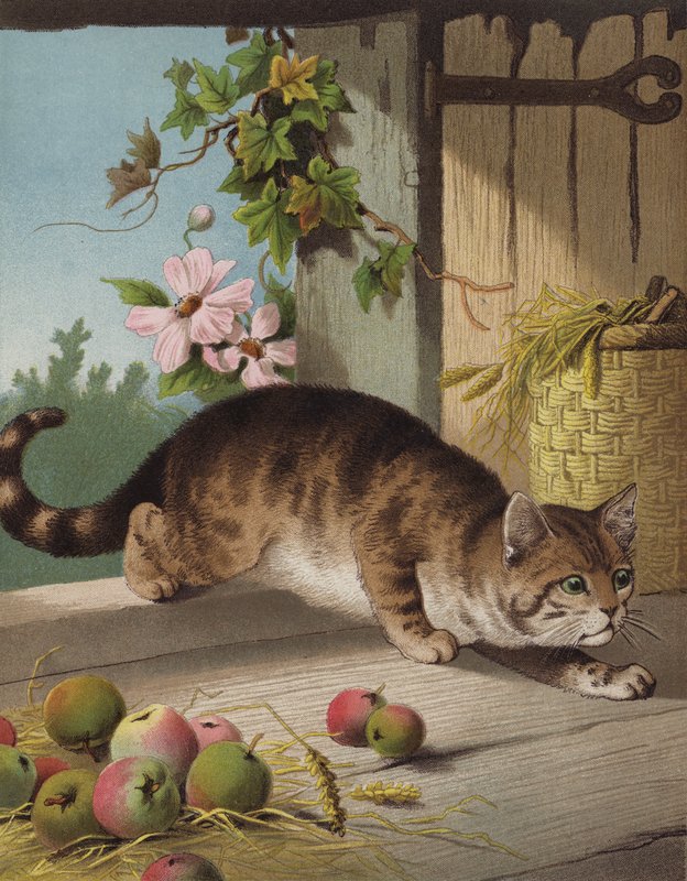Unser Tom von English School