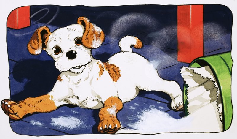 Paddy Paws von English School