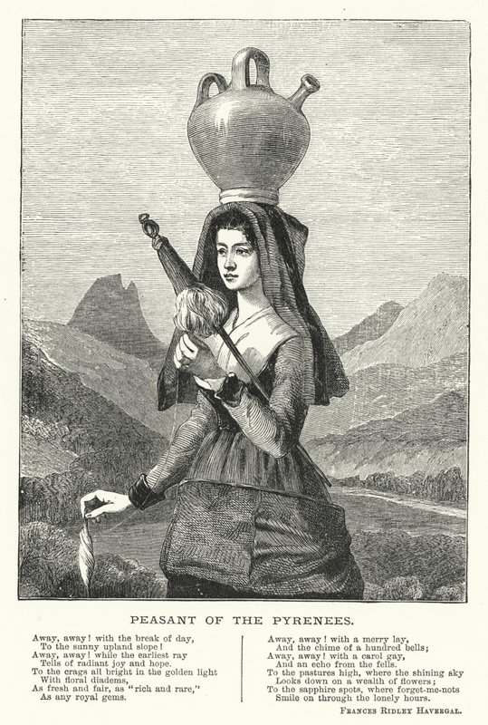 Bauer der Pyrenäen (Gravur) von English School